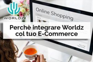 Perchè integrare wordz con il tuo ecommerce - Net Informatica