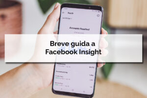 Breve guida a Facebook Insight